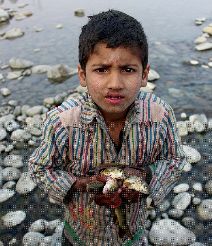 Kashmir’s Trout Economy