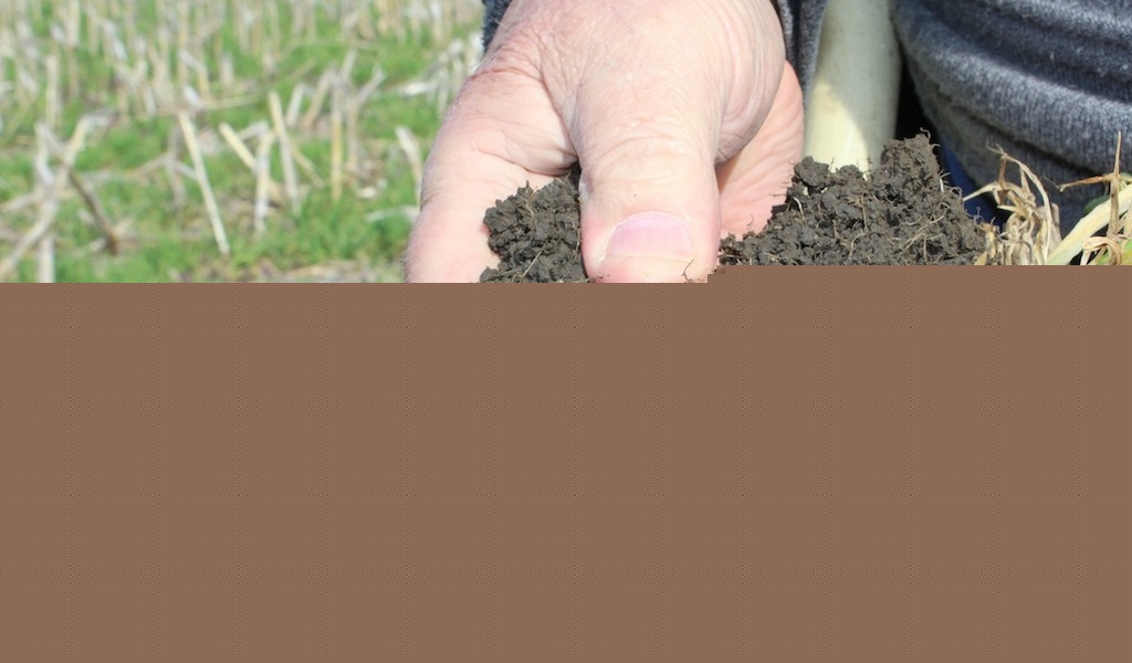 Comment on Soil testing can help farmers make land more productive by soil testing nj