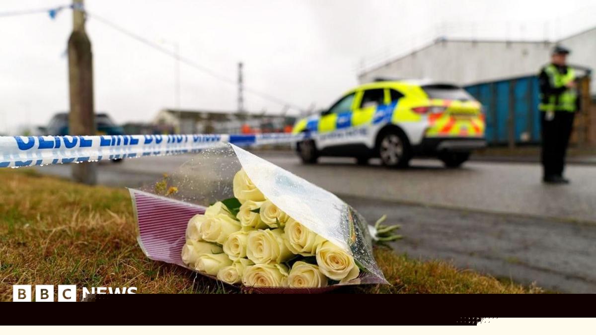 Man arrested over death of nine-year-old girl found injured in industrial estate