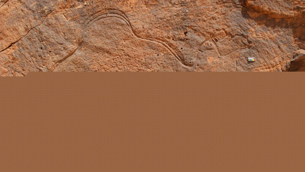 Scientists find ancient life-size animal rock carvings in the Saudi Arabian desert