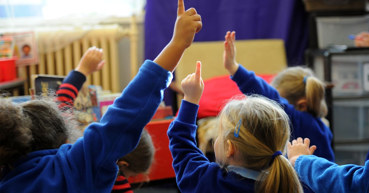 Petition for second primary school in Wynyard passes 1,000 signatures after project loses out