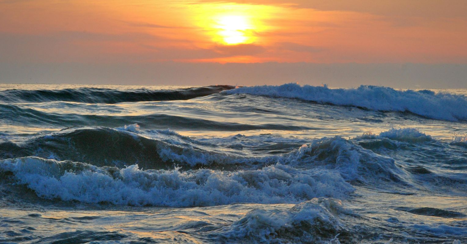 Waves in the Ocean of Awareness