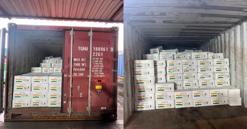 India’s healthcare assistance to Bolivia: Dispatches 8 MT of life-saving medicines; Echoes Global South prosperity