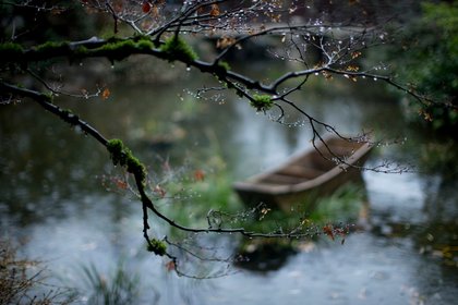 Portland sees light rain Thursday. Snow stays well above mountain passes