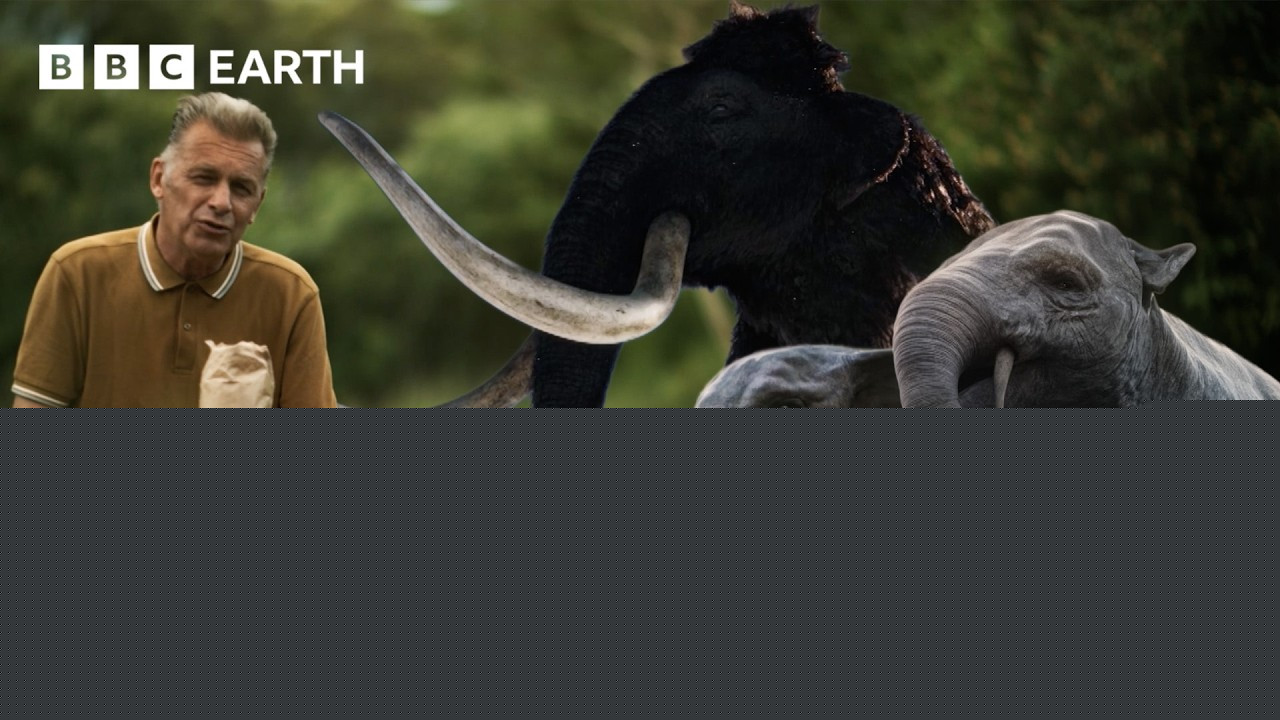Evolution of the elephant (Around The Web)