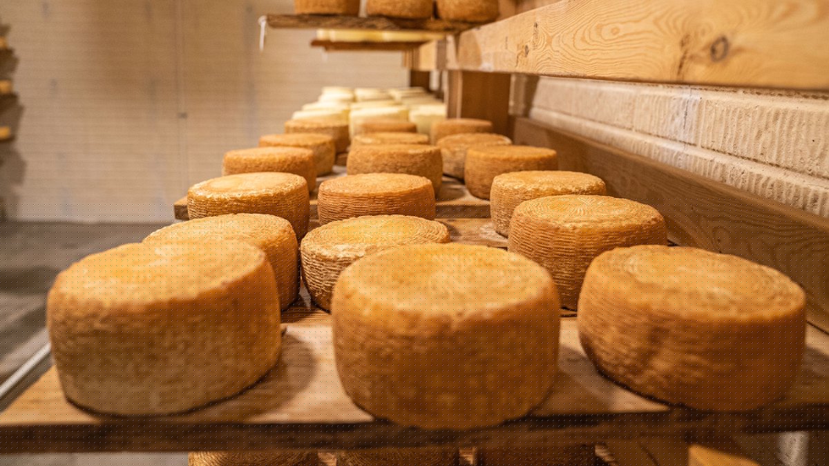 Il avait mangé du fromage au lait cru : un enfant meurt après avoir passé neuf ans dans le coma