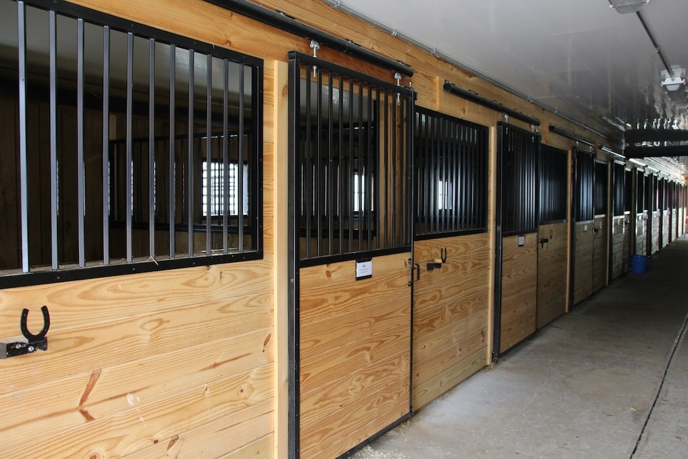 ‘Unreasonable’ ABC Council ordered to pay full appeal costs as Tandragee woman wins stables approval