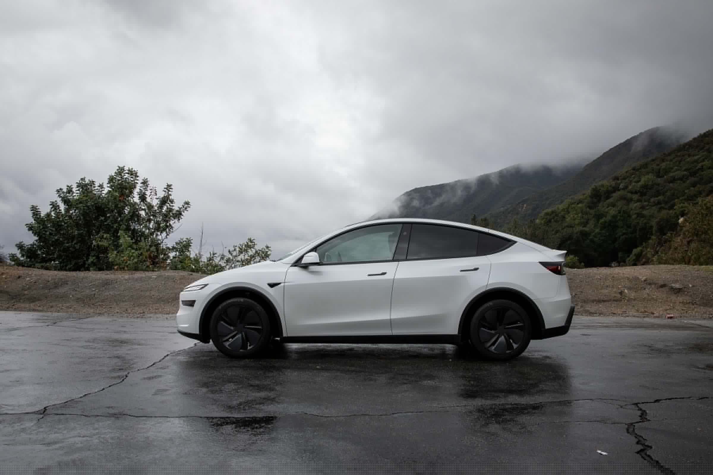 Tesla buys back 15 cars because they’re—too Canadian?