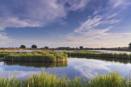 How Yorkshire Wildlife Trust has ditched manual expenses and invoice spreadsheets in favor of automated workflows