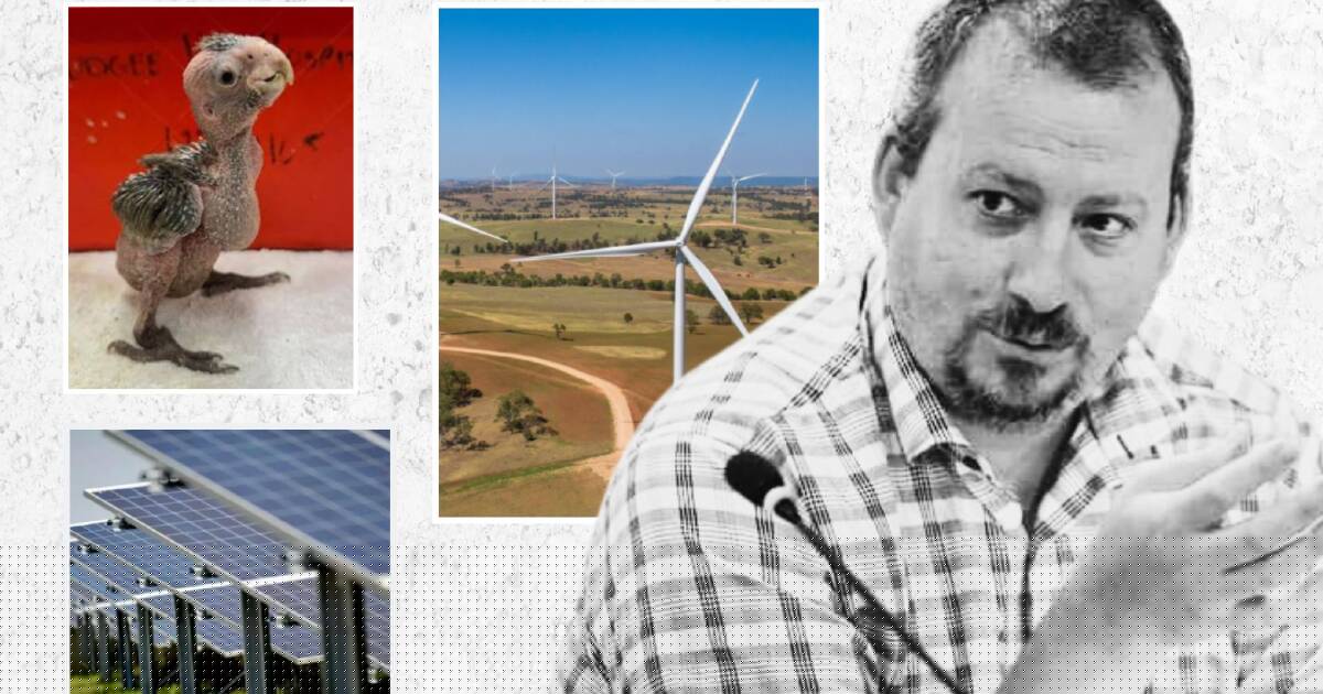 Left to manage the consequences: why councils and farmers are demanding a REZ reboot