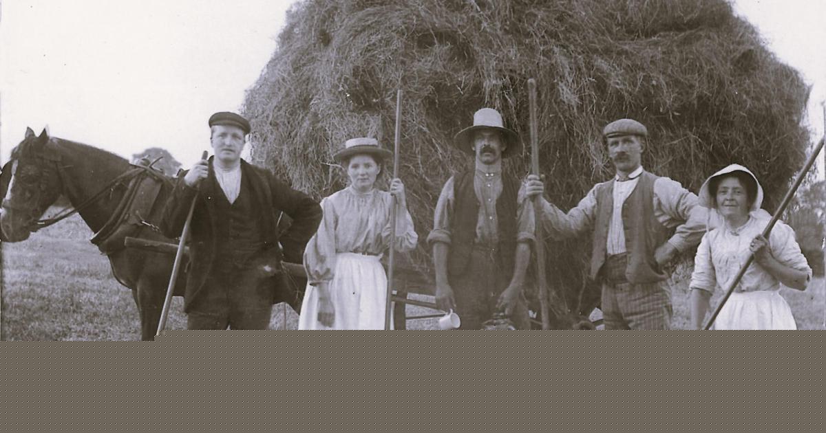 BYGONE DAYS: Haymaking was a 'family and friends' affair