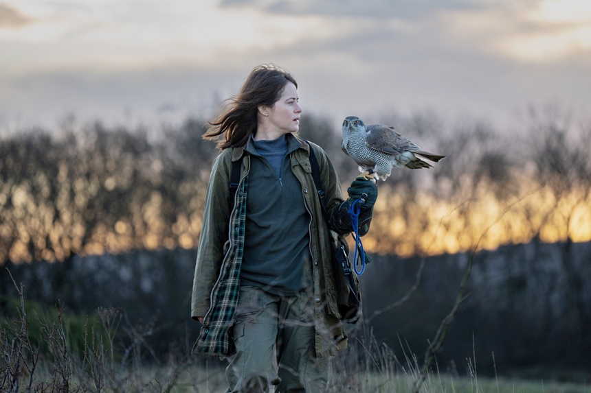 Review: H Is for Hawk — Movies for the Rest of Us with Bill Newcott