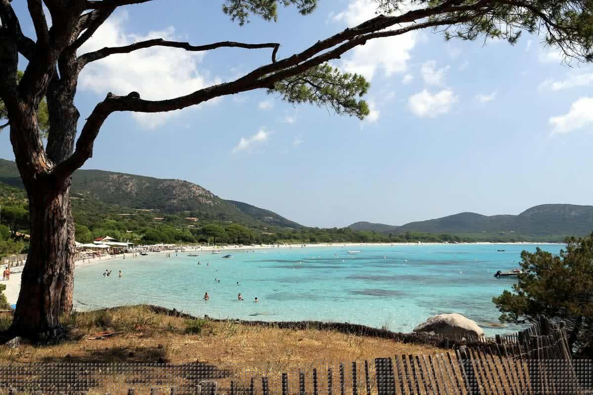 Un restaurant de plage historique d’Ajaccio incendié au cours de la nuit, une enquête ouverte