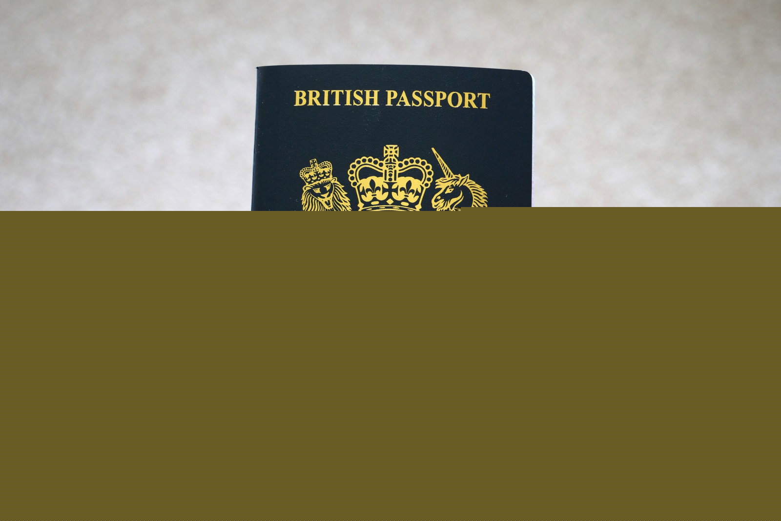Comment on Foreign Office issues warning to UK passport holders by M