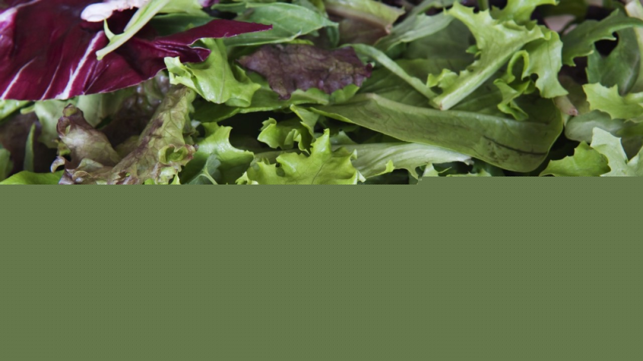 FDA: Taylor Farms lettuce Cyclospora finding was a false positive