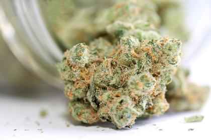 Study of 20 Countries Finds Medical Cannabis Legalization Associated With Reduction in Tobacco and Amphetamine Use