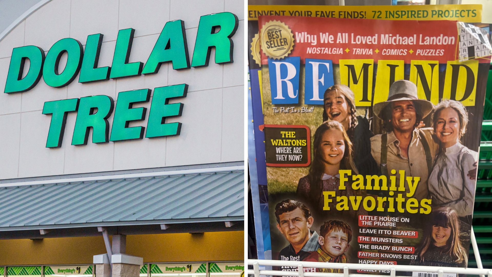 February 2026 Dollar Tree Finds—What You Should Buy