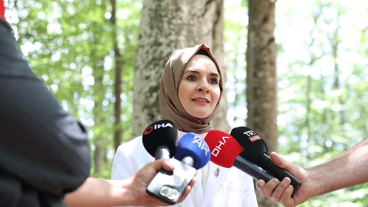 Şehit aileleri ve gazilere yönelik haklar genişliyor: "Bu hafta TBMM'ye sunacağız"