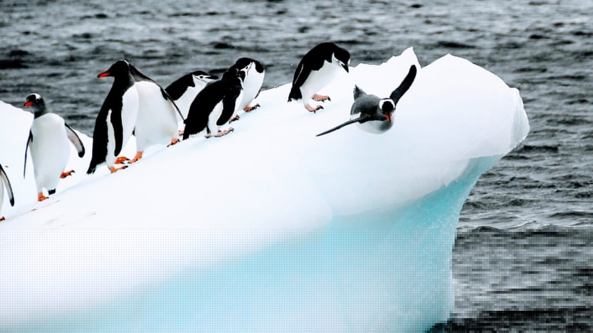 Episode 417 - Linux Kernel security with Greg K-H