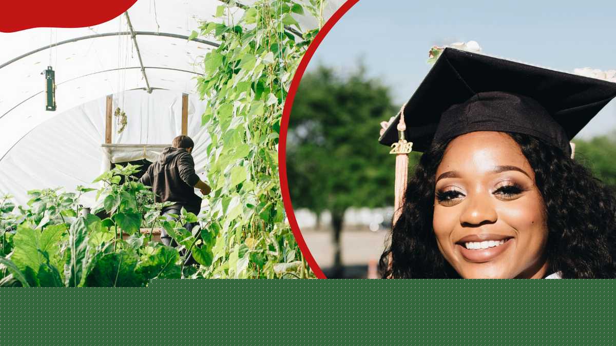 List of agriculture courses in Kenya (certificate, diploma, and degree)