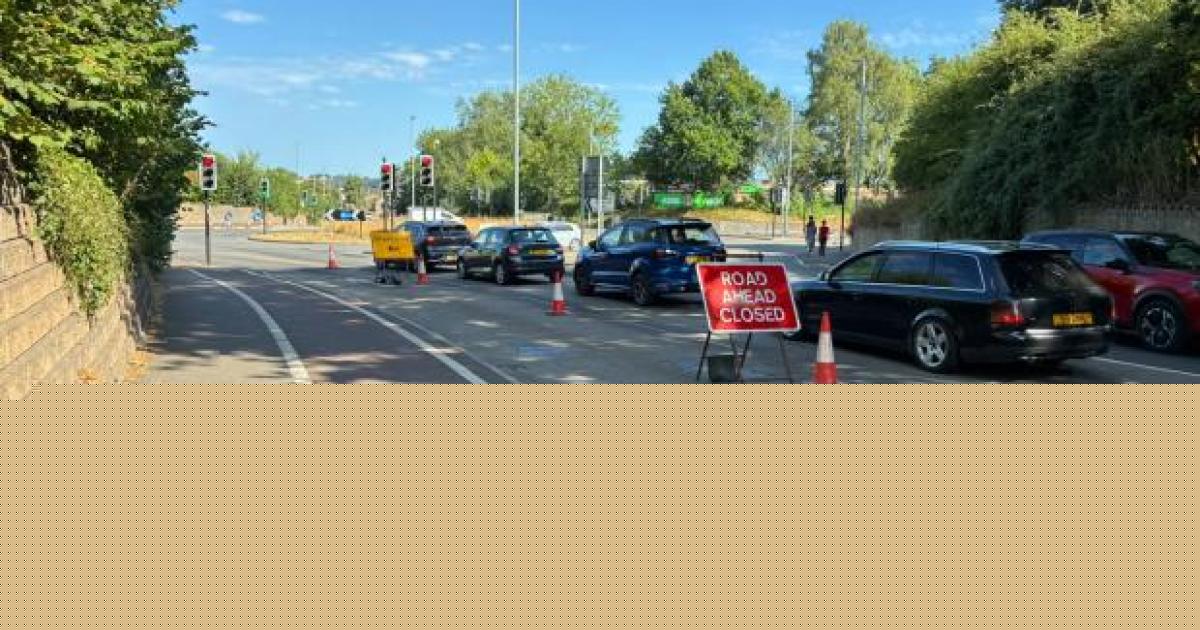 Anger over tailbacks as 'absurd' lane closure causes 'chaos' on key Somerset route