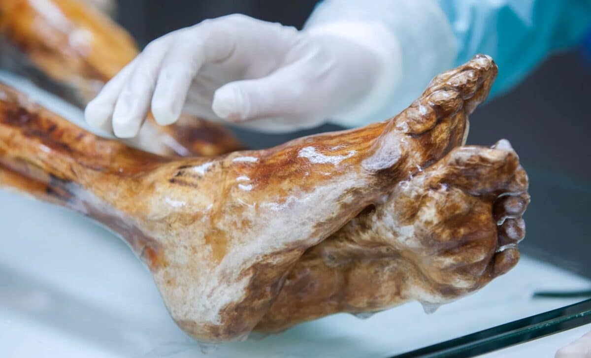 Scientists Found Something Still Living on Ötzi’s Body After 5,300 Years Trapped in the Ice