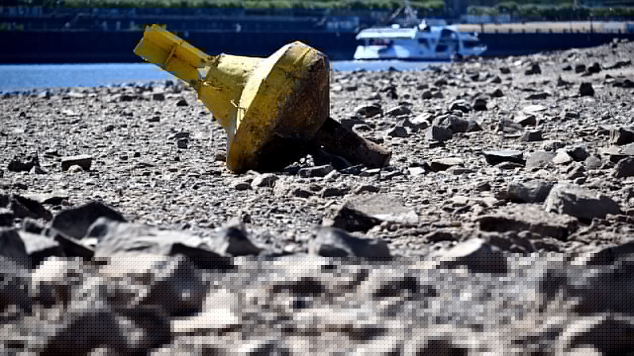 Wegen Niedrigwasser im Rhein - Jetzt droht Benzin-Ebbe an der Tanke