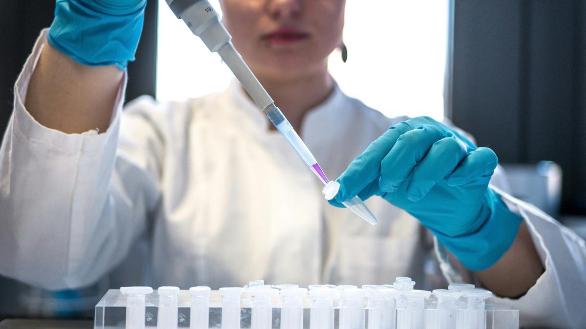 Spanish Scientists Develop Pancreatic Cancer Therapy Without Significant Side Effects