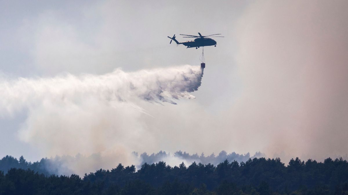 Waldbrand im Müritz-Nationalpark: Experte kritisiert fachliche und operative Lücken