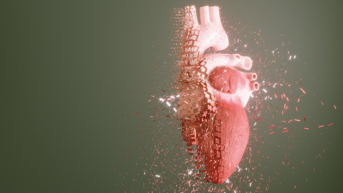Why is heart cancer so rare?