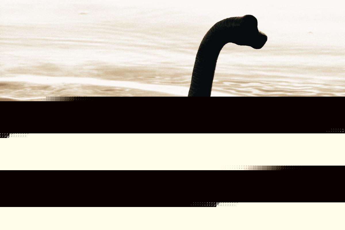 Is There a Monster Lurking in Caddo Lake, Louisiana?