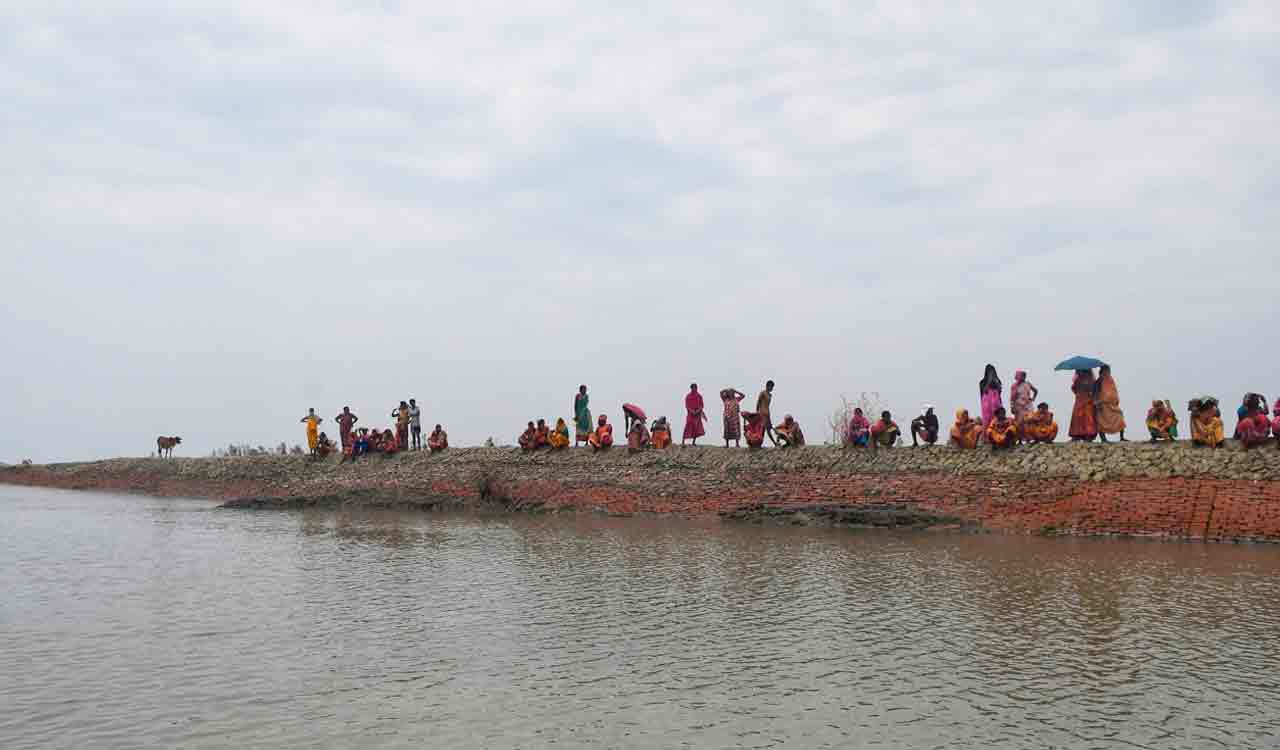 Bengal govt starts process for mangrove restoration on encroached Sundarbans forestland