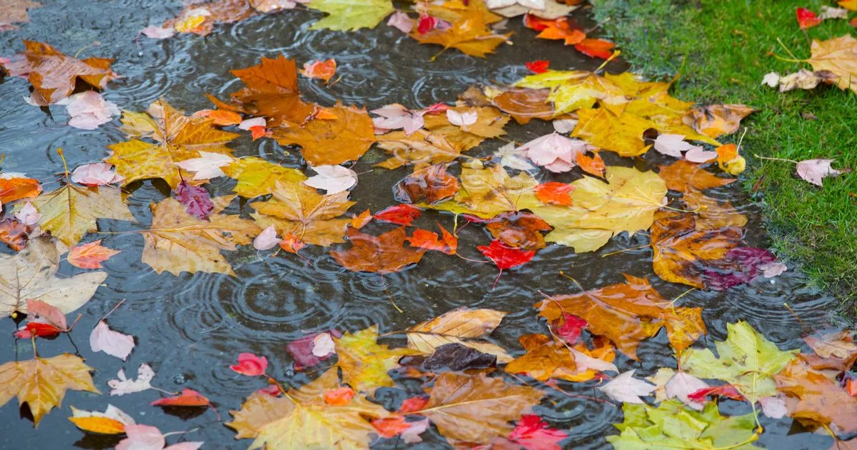 Thunder and lightning storms to hit east coast in October according to Old Farmer’s Almanac
