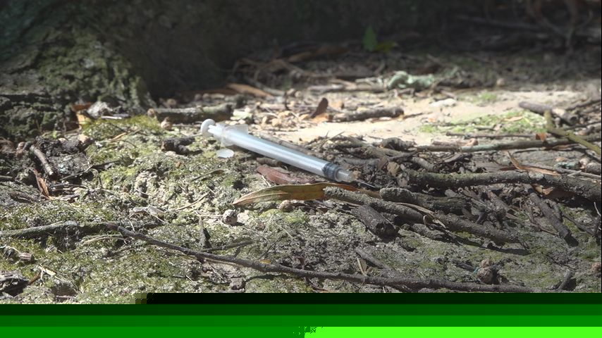 'The strongest parks are the ones neighbors take pride in:' BREC addressing drug use at park