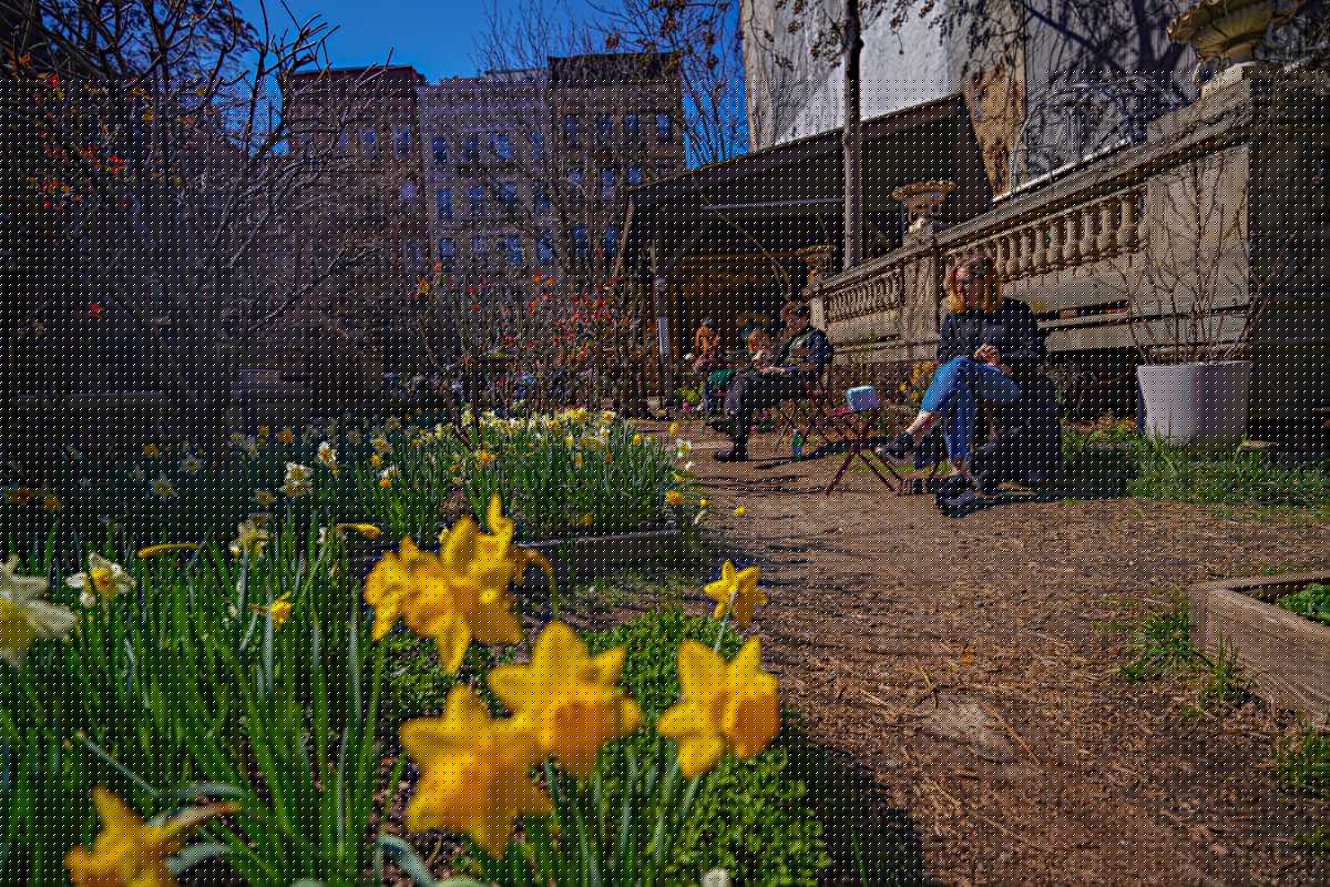 NYC eyes deal to save Elizabeth Street Garden and build elsewhere