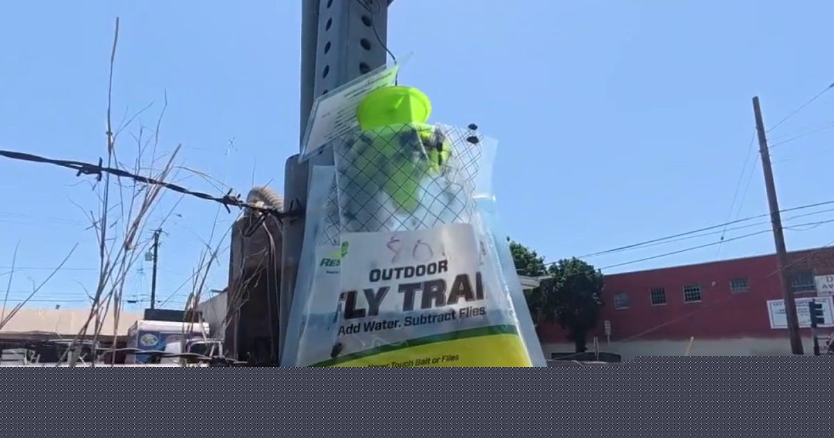 Boyle Heights residents call for evacuation order amid dangerous fly infestation