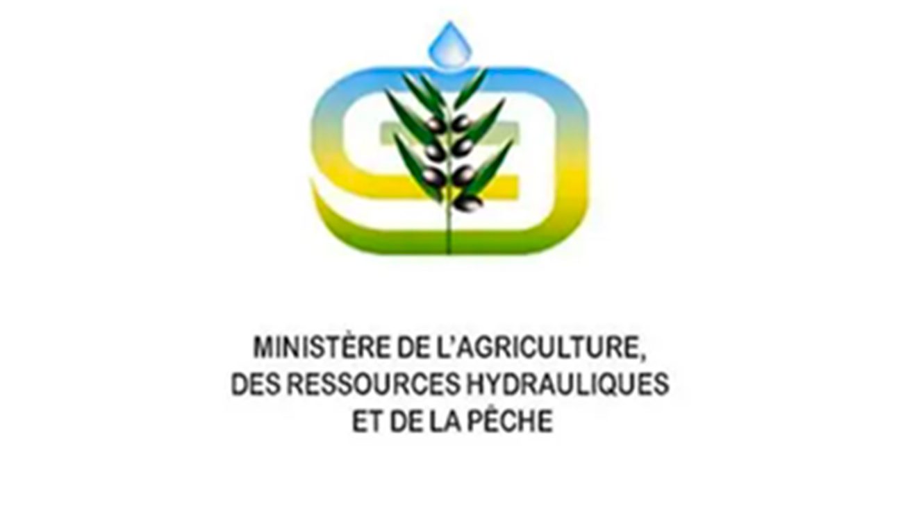 Santé animale en Tunisie : Le ministère de l’Agriculture renforce la vigilance face à la canicule