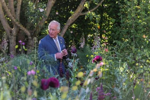 King Charles III warns world 'going backwards' in climate fight