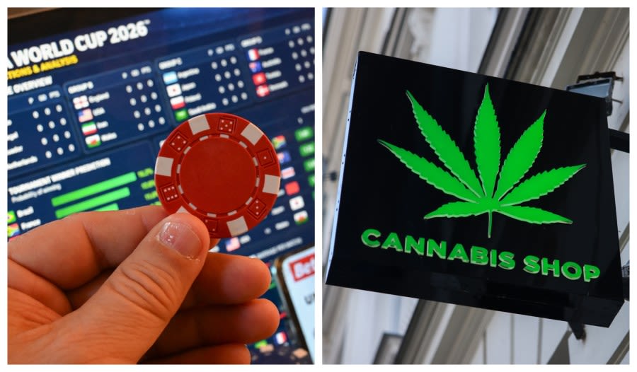 Risk and recreation: US sports betting soars, marijuana use multiplies