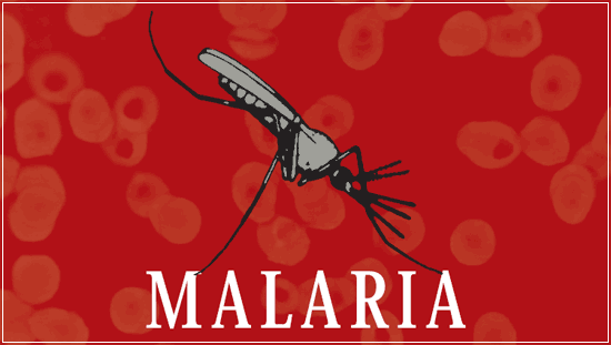 AU Unveils 2024 Africa Malaria Progress Report
