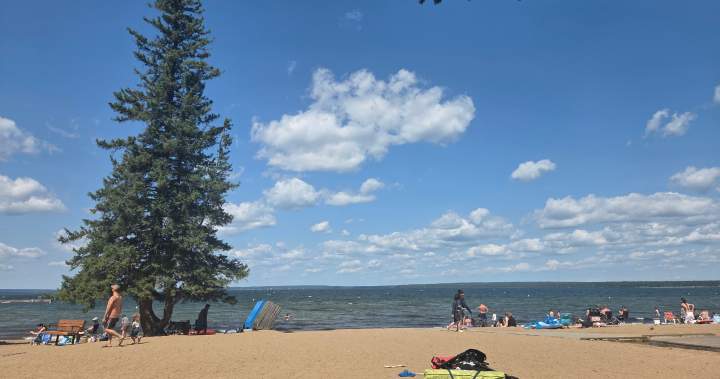 Visitors say elk encounters, tensions on the rise at Waskesiu