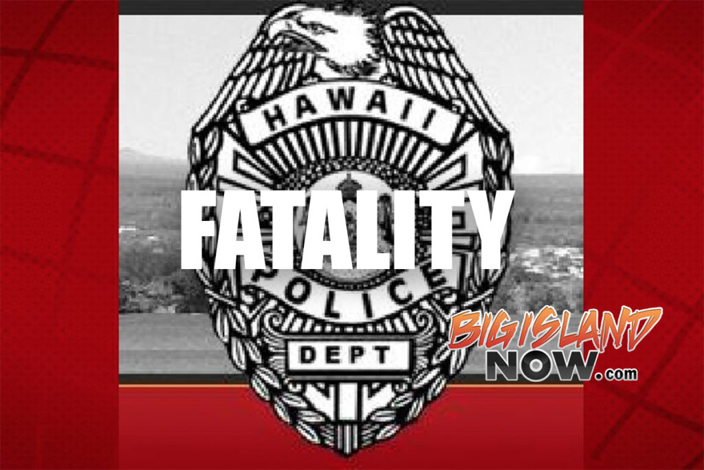 Man dies in single-vehicle crash in Hilo with high speed likely a factor