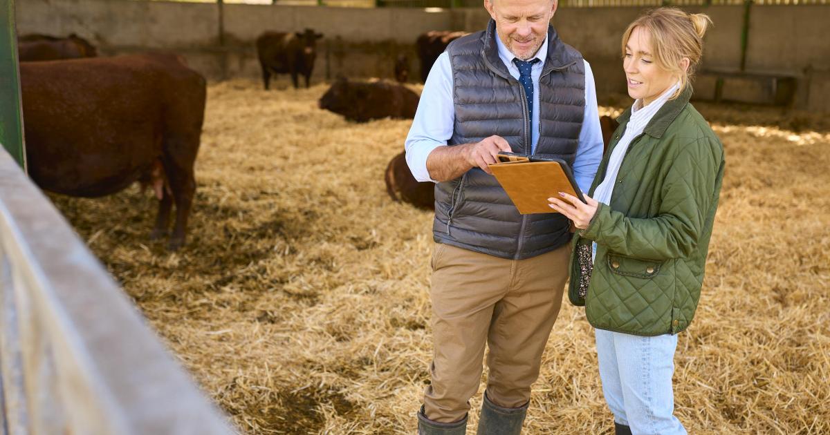 Free on-farm business advice offered to young farmers on Exmoor
