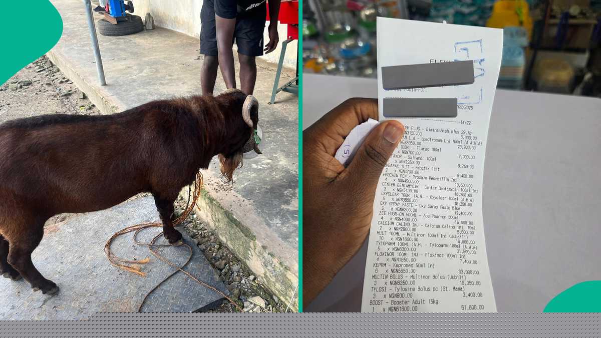 Photo: See how much this Nigerian man spent on buying medicine for his goat