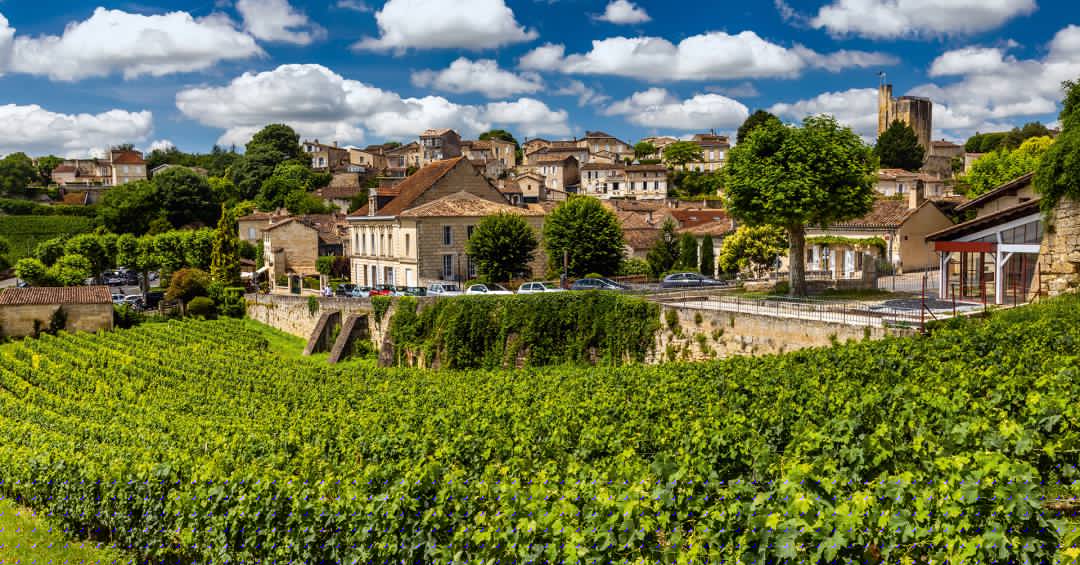 Incêndios e calor redesenham o terroir de Bordeaux