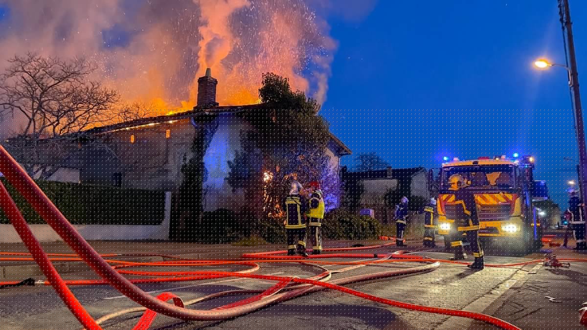 VRAI OU FAUX. Incendies dans l'Aude : un an après, le tarif des assurances a-t-il explosé pour les sinistrés ? "C'est l'un des sinistres les plus coûteux en indemnisation"