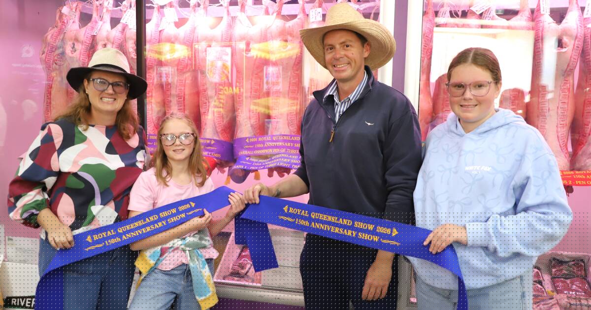 First-time exhibitor's 'surreal' win, record prices stun Ekka lamb competition