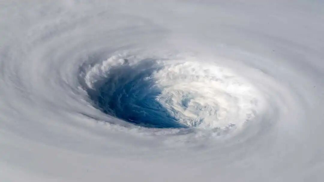 Super Typhoon Dolphin – Everything You Need to Know