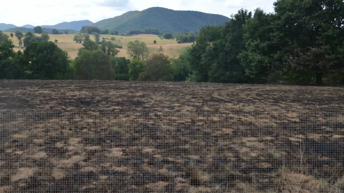 "Neuf incendies sur dix sont d'origine humaine" : provoqué par des étincelles lors d'un débroussaillage, un incendie ravage un champ et menace les habitations dans un village des Pyrénées