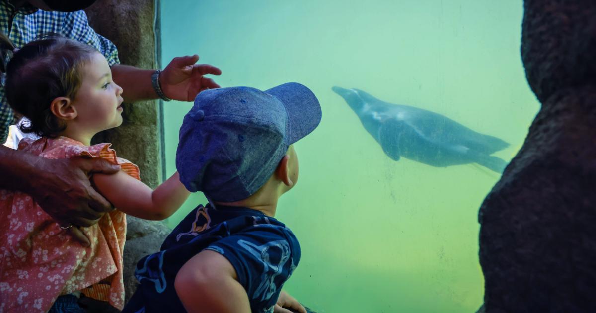 Zoo offers new discount scheme to make visits more affordable